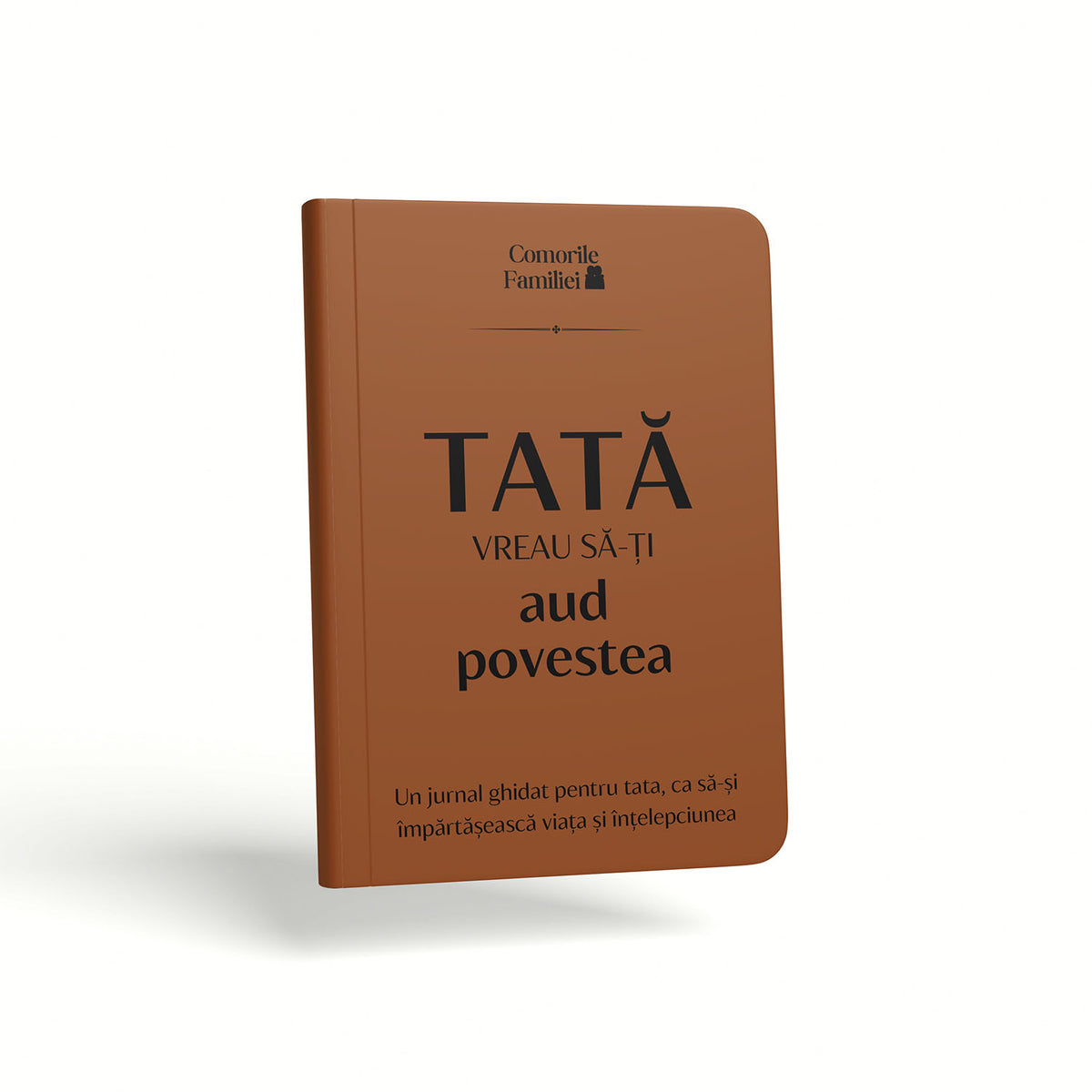 Jurnal de Amintiri pentru Tată